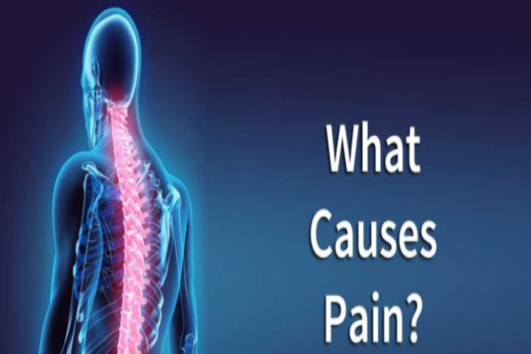 علل متفرقه دردهای ستون فقرات